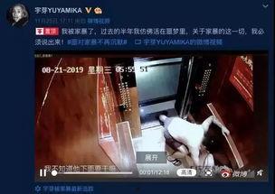 网友爆料家暴视频大全  第2张